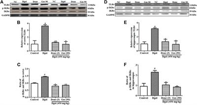 Gastrodin From Gastrodia elata Enhances Cognitive Function and Neuroprotection of AD Mice via the Regulation of Gut Microbiota Composition and Inhibition of Neuron Inflammation